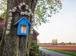 My-25-Favorite-Pictures-of-Belgium22__880