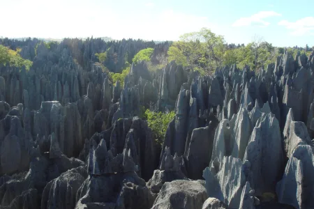 TsingydeBemarahaNationalPark1