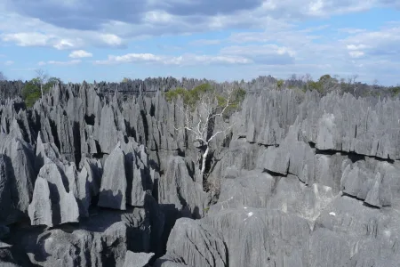 TsingydeBemarahaNationalPark2