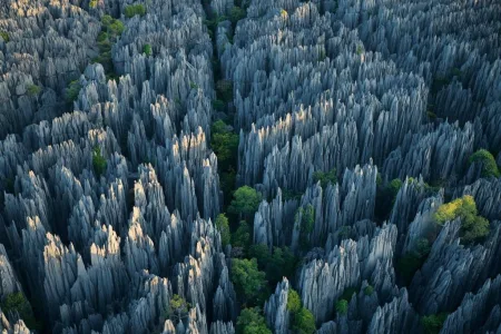 TsingydeBemarahaNationalPark5