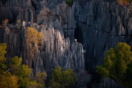 TsingydeBemarahaNationalPark9