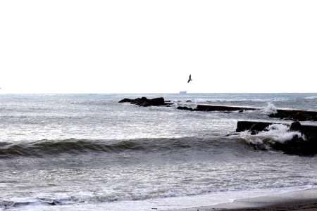 DSC_0021_800x533
