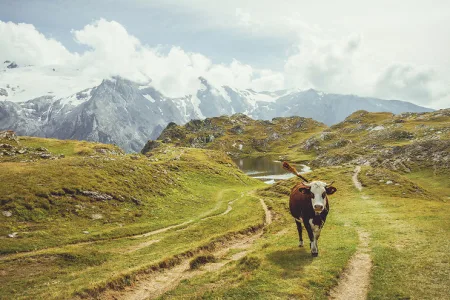 Visit-the-Alpes-in-France11__880