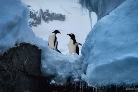 nature-photography-antarctica-airpano-1