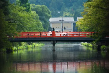 Japan-In-25-Photos-and-1-Video6__880