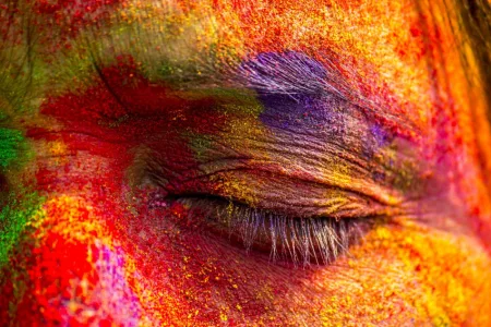 812015_site-India_Celebrates_Holi
