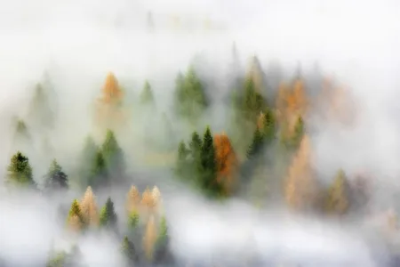 m004