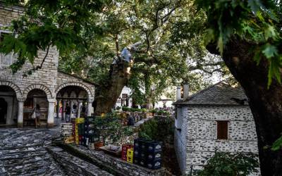Μακρυνίτσα - Ένας δημοφιλής προορισμός για όλες τις εποχές του χρόνου (Φωτογραφίες)
