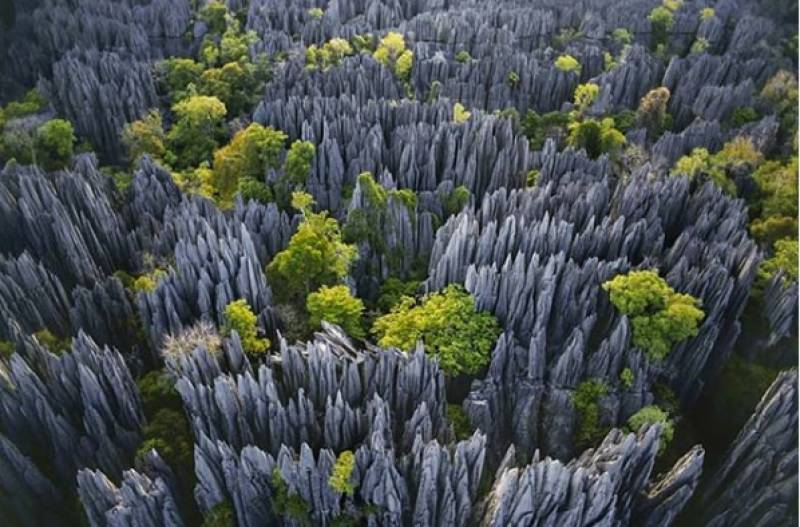 Tsingy de Bemaraha: Το πέτρινο δάσος της Μαδαγασκάρης (Φωτογραφίες)