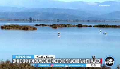 Κορωνησία: Το στολίδι του Αμβρακικού (Βίντεο)