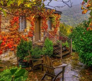 Χωριά της Ηπείρου για γιορτινές αποδράσεις - Πέτρα, παράδοση, καθαρός αέρας και αυθεντικές γεύσεις (Φωτογραφίες)