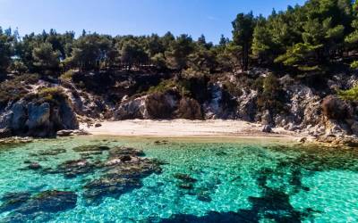 Καβουρότρυπες - Η εξωτική παραλία της Χαλκιδικής (Βίντεο+φωτογραφίες)