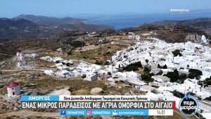 Αμοργός: Το νησί της άγριας ομορφιάς (Βίντεο)