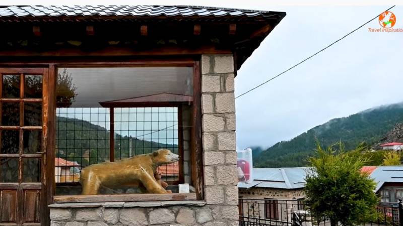 Καταρράκτες Μπουλουβάρου: Tο χωριό Μηλιά με τη συγκινητική ιστορία της βαλσαμωμένης αρκούδας (Βίντεο)