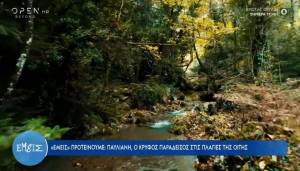 Παύλιανη: Ο κρυφός παράδεισος στις πλαγιές της Οίτης (Βίντεο)