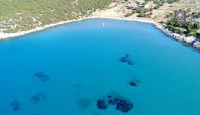Νημπορειό: Το πιο εξωτικό... μαντρί της Ελλάδας (Βίντεο)