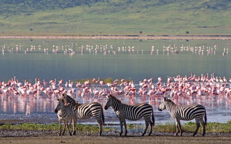 Τανζανία: Η άγρια ομορφιά της Αφρικής (Βίντεο+φωτογραφίες)