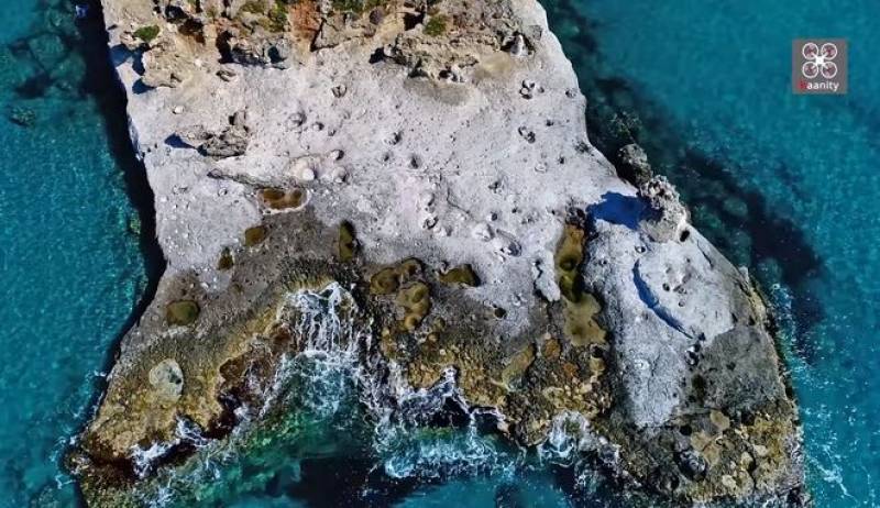 Το μοναδικό απολιθωμένο φοινικόδασος της Ευρώπης βρίσκεται στην Πελοπόννησο (Βίντεο)
