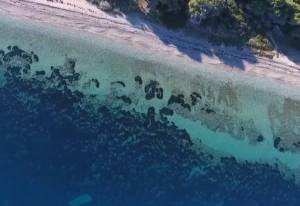 Αγναντεύοντας τα γαλαζοπράσινα νερά της παραλίας Πευκιά στην Πελοπόννησο (Βίντεο)