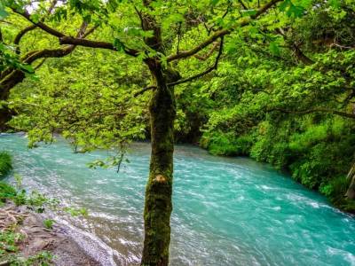 Ο ποταμός που χαρίζει την αιώνια ζωή πηγάζει στην Πελοπόννησο (Φωτογραφίες)