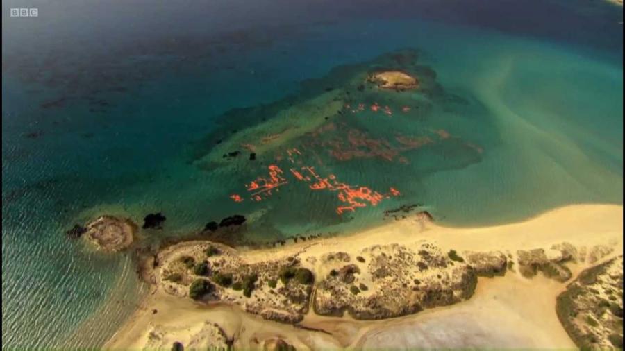 Η αρχαιότερη βυθισμένη πόλη του κόσμου βρίσκεται κοντά στην Ελαφόνησο (Βίντεο)