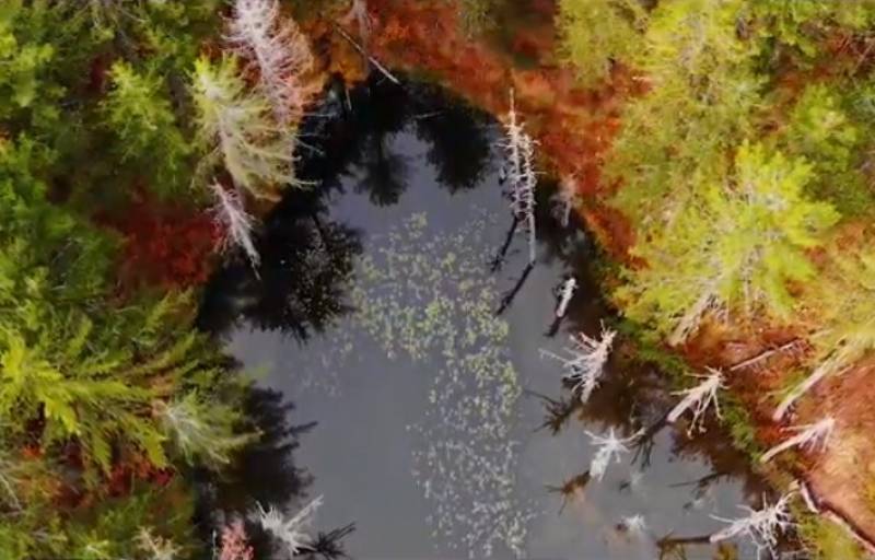 Ζορίκα: Μια παραμυθένια λίμνη με νούφαρα (Βίντεο)