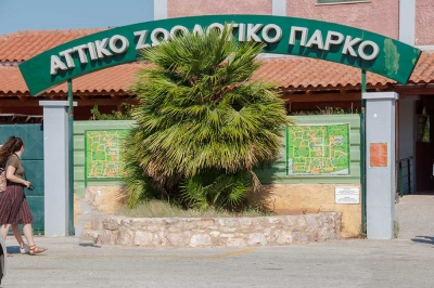 Πάμε μία βόλτα στο Αττικό Ζωολογικό Πάρκο (βίντεο και φωτογραφίες)