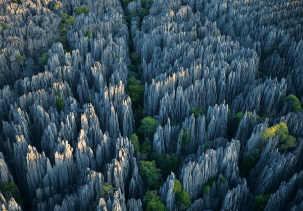 Tsingy de Bemaraha: το Εθνικό πάρκο της Μαδαγασκάρης (φωτογραφίες)