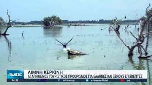 Λίμνη Κερκίνη: Ιδανικός προορισμός για Έλληνες και ξένους επισκέπτες (Βίντεο)