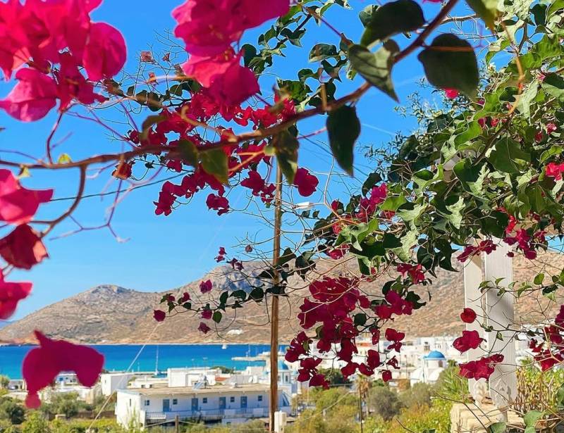 «Rebeccas Welt»: Οι Λειψοί ανάμεσα στους 5 πιο αναζωογονητικούς προορισμούς του κόσμου για μείωση του στρες