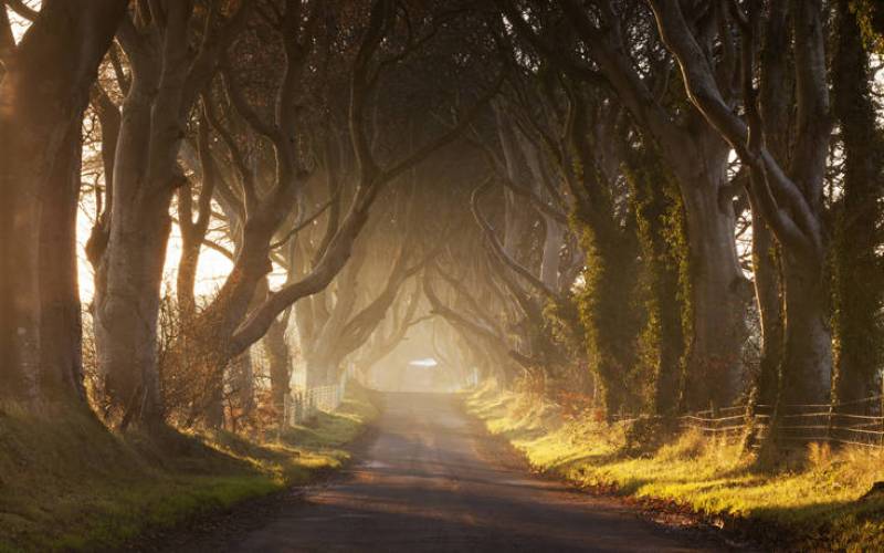 Bregagh - Ο... σκοτεινός δρόμος της Βόρειας Ιρλανδίας (Βίντεο+φωτογραφίες)