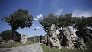 Νυμφόπετρα: Το δάσος με τα περίτεχνα απολιθώματα - Ο θρύλος λέει ότι εδώ πέτρωσε νυφική πομπή (Φωτογραφίες)