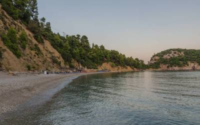 Στάφυλος - Η πευκόφυτη παραλία στη Σκόπελο (Φωτογραφίες)