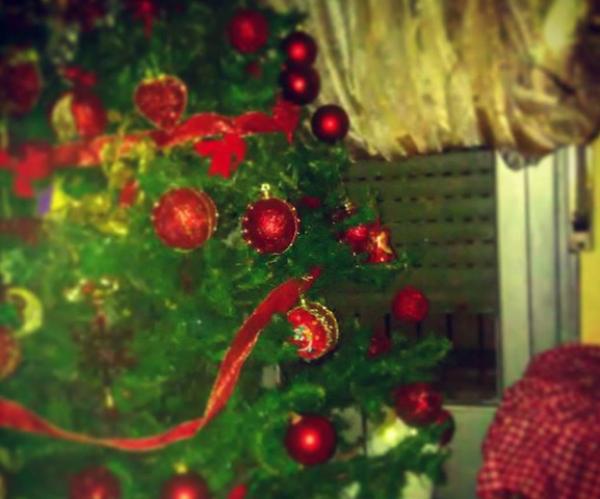 Οι Καλαματιανοί στόλισαν το δέντρο και ετοιμάζονται να υποδεχθούν τα Χριστούγεννα! (vids+pics)