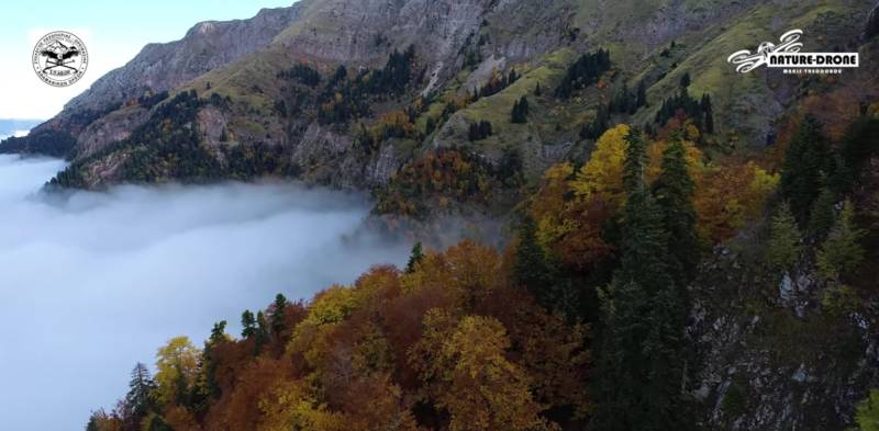Φθινοπωρινά χρώματα στην Περτούσα Αθαμανίας - Eκεί που οι κορυφές αγγίζουν τον ουρανό (Βίντεο)