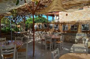 Tripadvisor: Εστιατόριο της Μάνης στον κατάλογο με τα καλύτερα Ελληνικά
