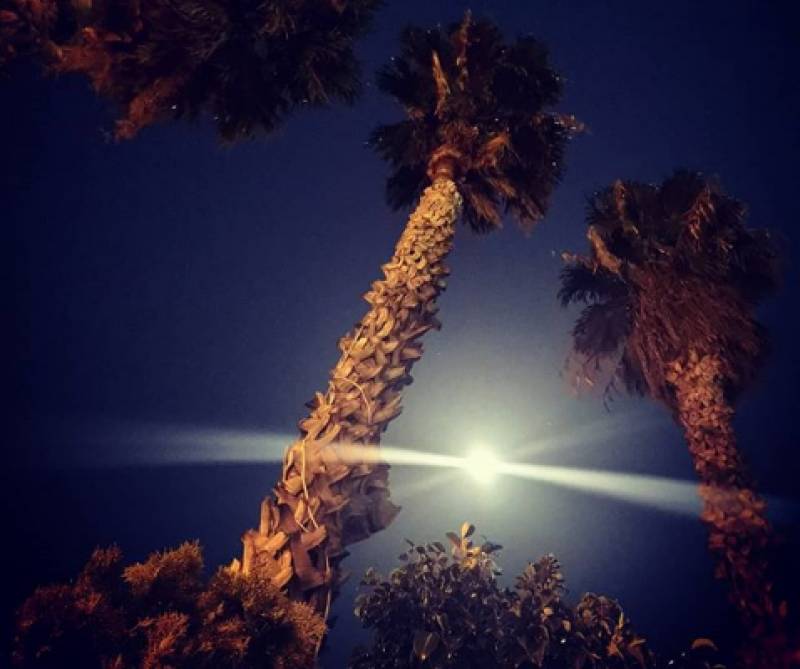Η «σούπερ χιονισμένη σελήνη» φώτισε τον ουρανό της Καλαμάτας (Φωτογραφίες)