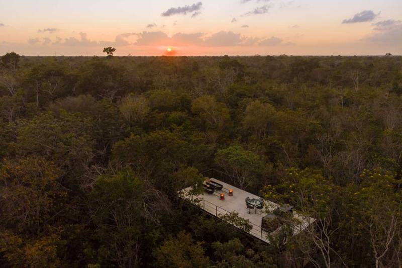Airbnb: Ένα γυάλινο σπίτι στη... ζούγκλα του Μεξικού (pics)