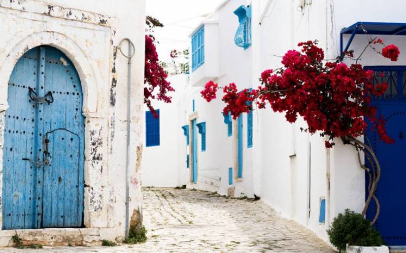 Σίντι Μπου Σαΐντ - Το χωριό της Τυνησίας που θυμίζει κυκλαδίτικο νησί (Βίντεο+φωτογραφίες)