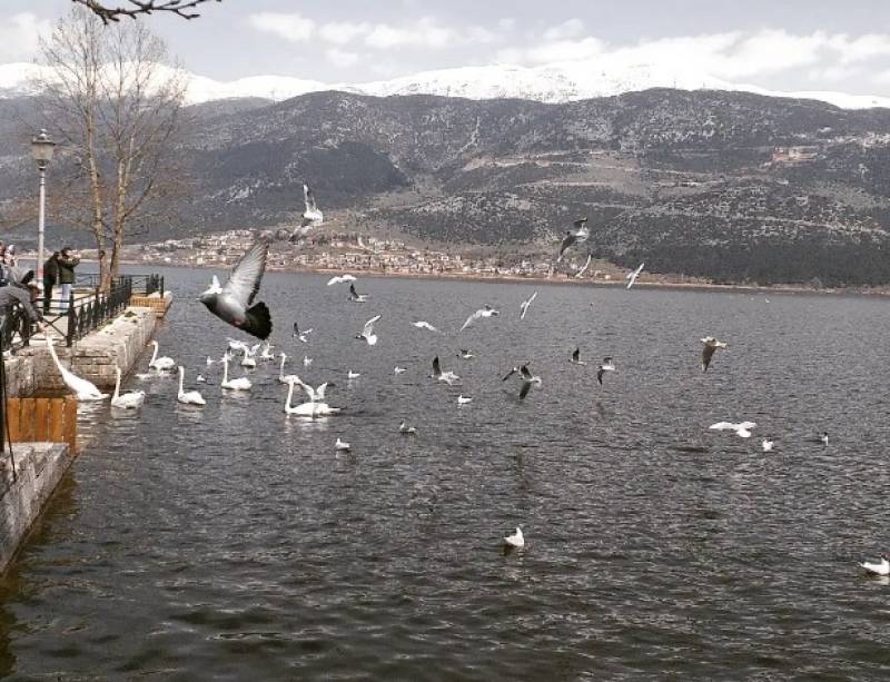 Λίμνη Ιωαννίνων: Ένα μαγικό τοπίο (Βίντεο)