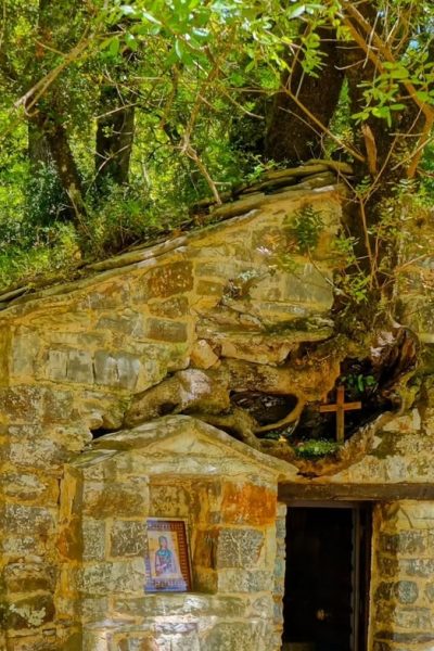 Αγία Θεοδώρα: Το εκκλησάκι θαύμα με 17 δέντρα στη στέγη του (Βίντεο)